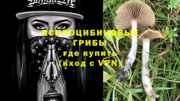 бошки Медногорск