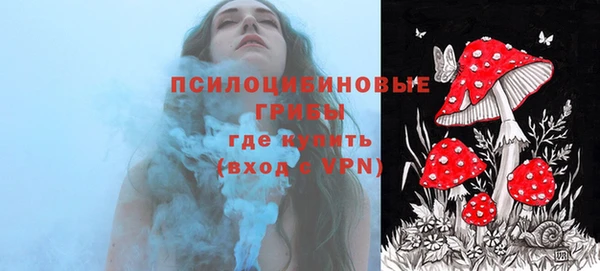 бошки Медногорск